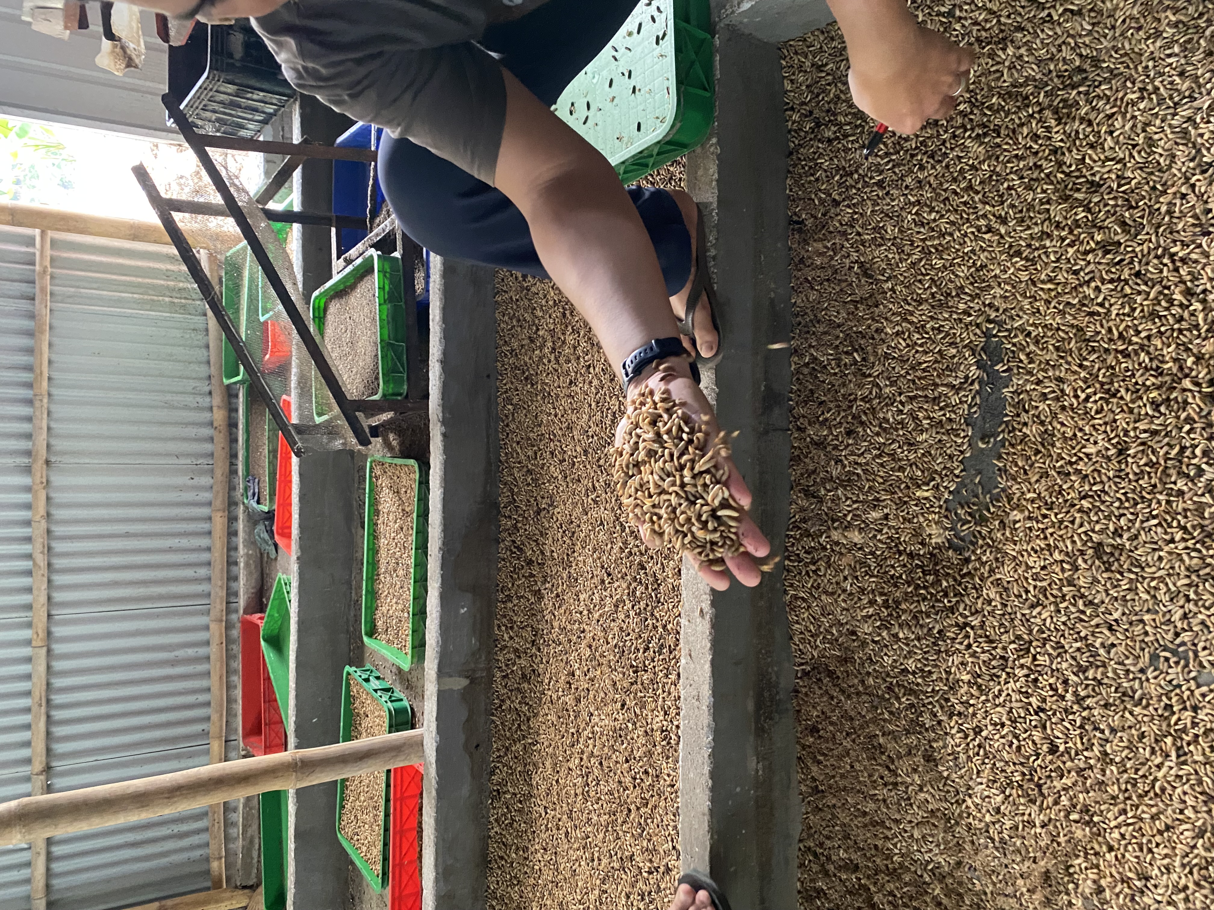 Organic processing